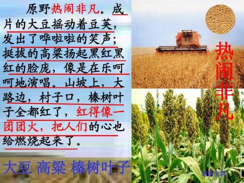 赞美秋天的名言