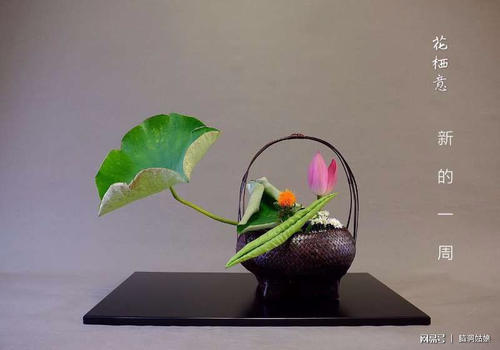 如何度过二十多岁的贫穷和困惑的岁月？