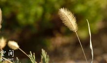 10种埋没才能的生活方式