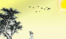 表达思乡之情的古诗