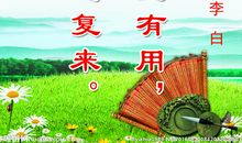 读书名言名句大全孔子