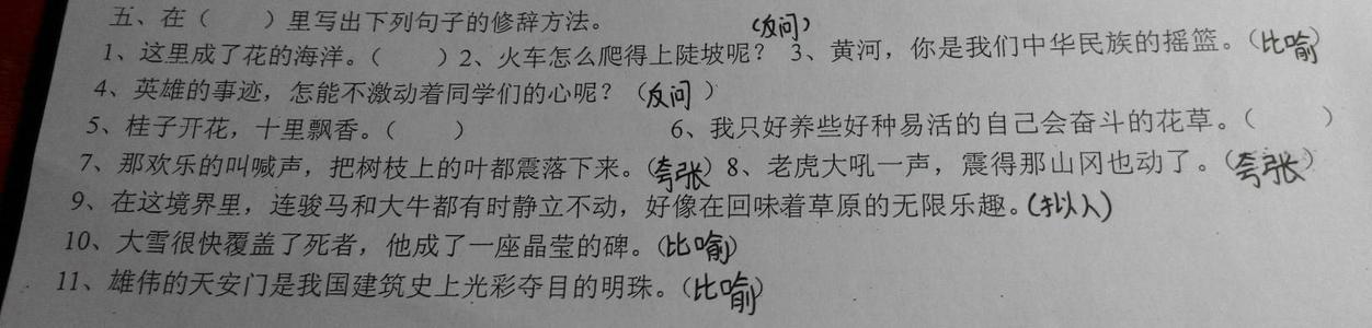 很好的句子描述了春雨