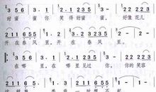 邓丽君经典歌词