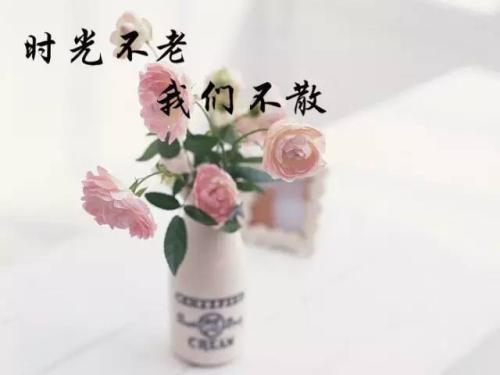 经典语录：时间不老，我们不会消失