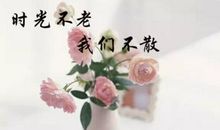 经典语录：时光不老，我们不散