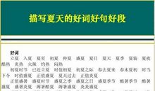 描写童年的好句好段精选