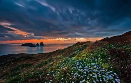 吴伯孝:岛上的四季