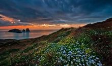 吴伯箫：岛上的季节