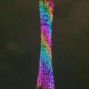 一段描述秋海棠花