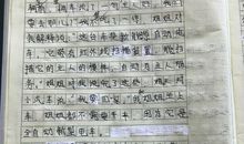 二十年后回故乡作文