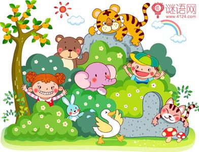 关于保护动物的口号