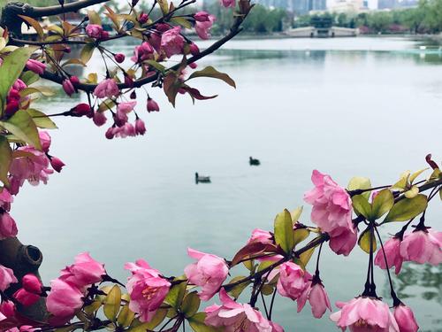 曹崇志：春日·阴音溪流与绿荫