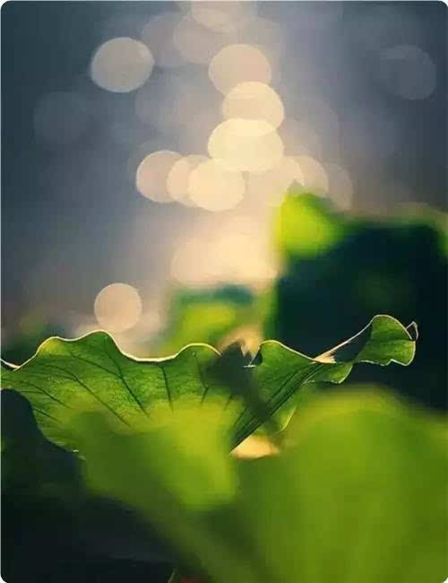 有一种生活叫做死活