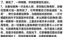 描写春天景物的好句好段