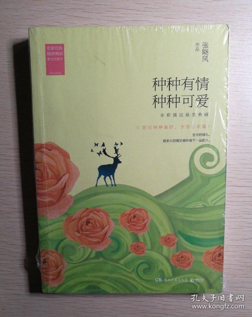 张小凤：那辆车