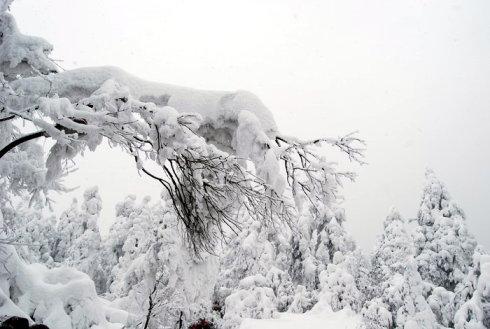 描写峨眉山的诗
