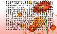 责任与担当名人名言