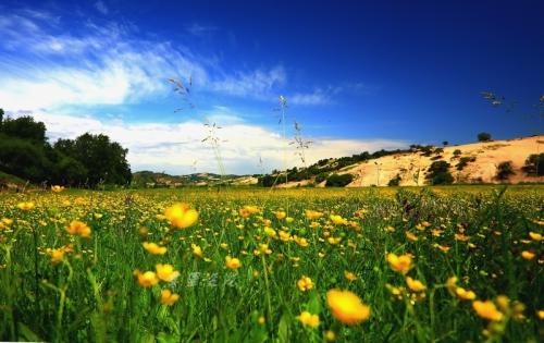 描述景观的段落