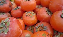 关于半夜吃柿子歇后语