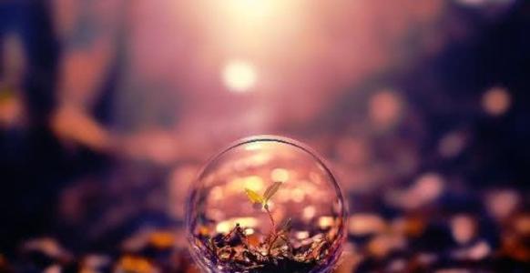 不用抱怨黑暗,而是带着灯继续前进