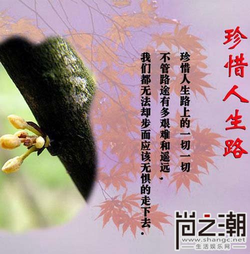 著名的人生格言