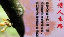 生命的名言警句