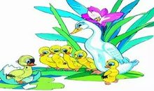 读丑小鸭有感600字