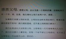 关于诚信的演讲稿