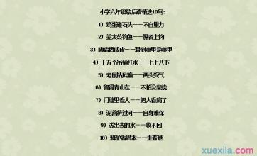 关于猫的寓言寓言