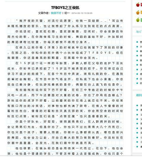 300个字符的字符描述片段