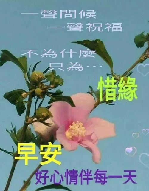 早安讯息:最美的是相遇,最难得的是再次相遇