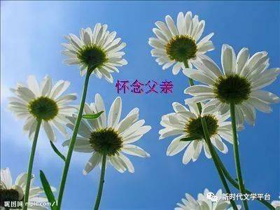 关于我父亲的诗