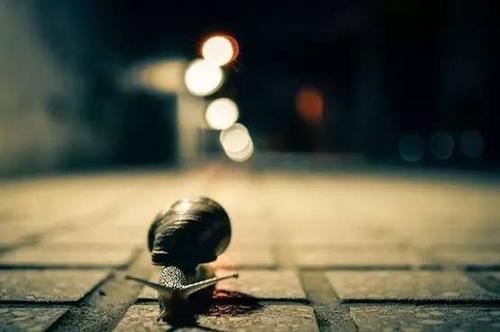 生于贫穷的家庭,仍然有一种高尚的方法