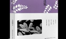 毕淑敏：心境防割