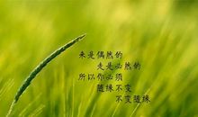 感悟的经典励志名言