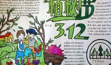 3.12植树节标语