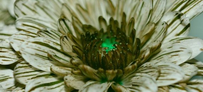 经典语录：如果您永远都不会忘记，那一定有回声。如果没有回声，肯定有伤口