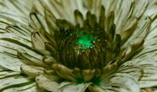 经典语录：念念不忘，必有回响；若无回响，必有一伤