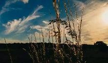 为什么很多人一辈子都不能发挥出真正的潜能？