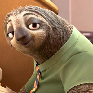 关于“动物园城”的思考