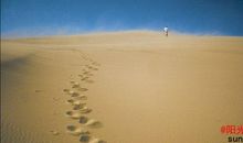 震撼心灵的读后感