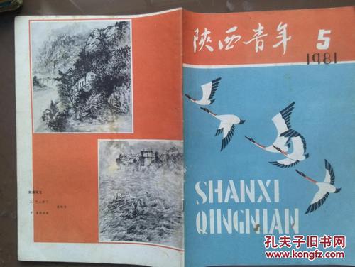 描述野鹅的好句子和段落