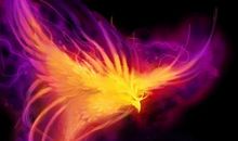 请相信，这仍是一个拼能力的时代