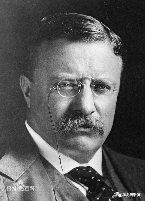 西奥多·罗斯福行情