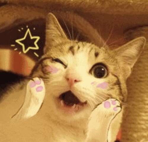 您无法获得它，因为您不想要它