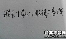 描写父爱的语句