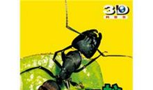 形容蚂蚁勤劳的句子