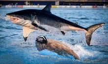 毕淑敏：失去四肢的泳者