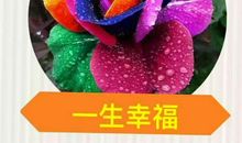 高三是人生中最宝贵的财富