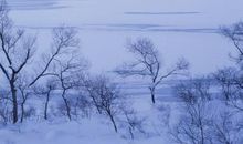 描写雪景的一段话